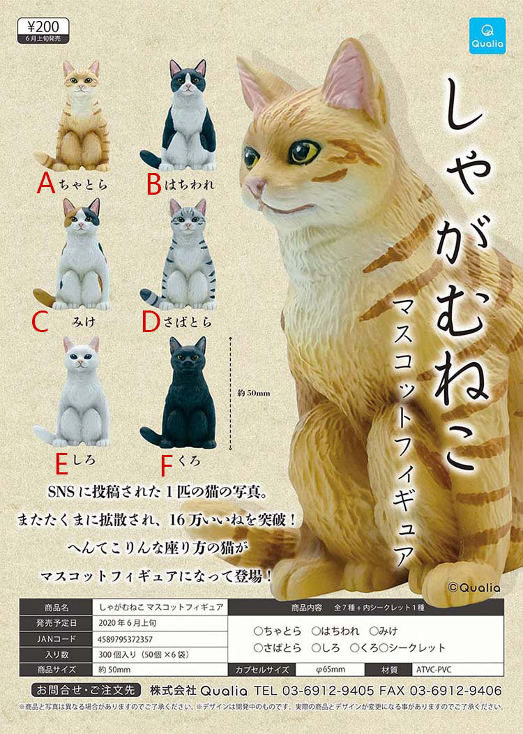 日本qualia扭蛋玩具  亚洲蹲的猫咪蹲坐的猫仿真动物摆件现货