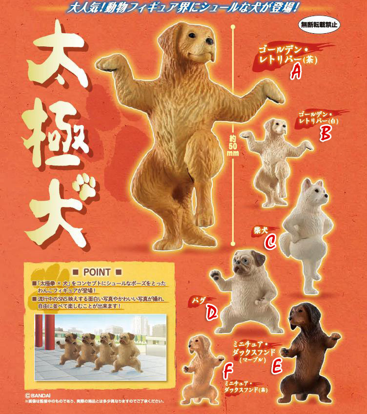 日本万代正版扭蛋 太极犬摆件系列 功夫动物金毛巴哥腊肠狗现货