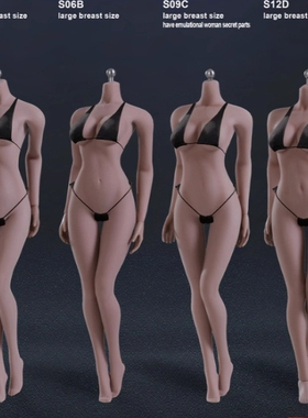 现货 TBLeague S02A/S06B/S09C/S12D 1/6 女素体超可动兵人小麦肤