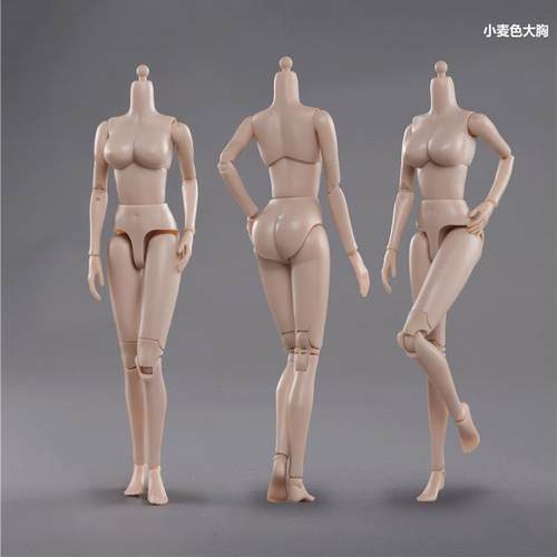 特价现货 HENG TOYS 1/6 人偶可动女素体 PE011 麦色