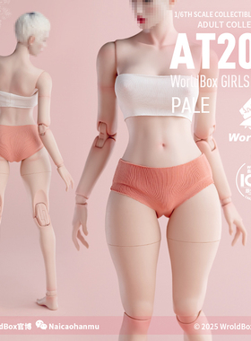 预售定金 1/6女素体 Worldbox 肥腿升级版AT202pro 可动兵人手办