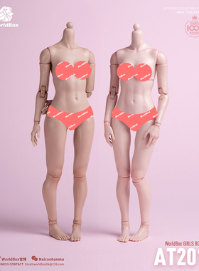Worldbox 耐操 1/6 AT201标准版 AT202肥腿版 女素体可动兵人偶