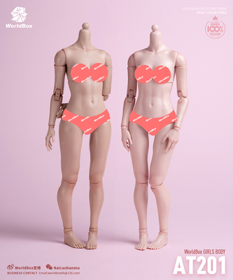 Worldbox 耐操 1/6 AT201标准版 AT202肥腿版 女素体可动兵人偶