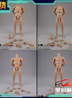现货Coomodel 1/6  BD001&02&03&04 标准窄肩 & 肌肉男素体 2.0版