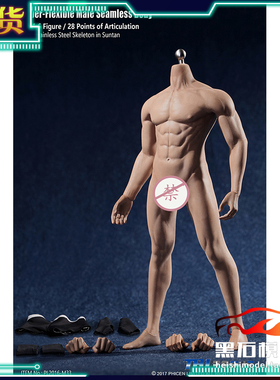 现货TBLeague 1/6 PL2016-M33 无头钢骨 健美身材 包胶肌肉男素体