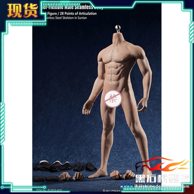 钢骨健美包胶男素体TBLM331/6