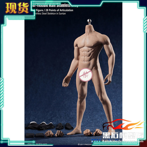 钢骨健美包胶男素体TBLM331/6