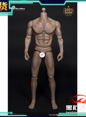 现货 WorldBox耐操 1/6男兵人偶 AT012 厚胸宽肩31cm版 男素体