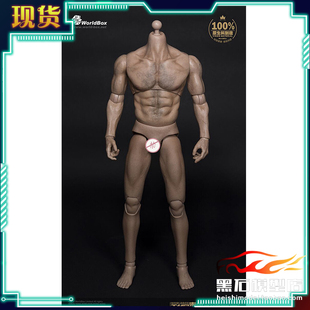 WorldBox耐操 厚胸宽肩31cm版 AT012 男素体 6男兵人偶 现货