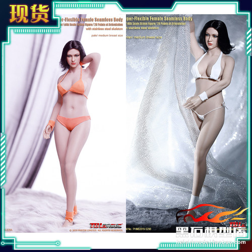 女素体TBLS28A白肤&S29B麦色1/6