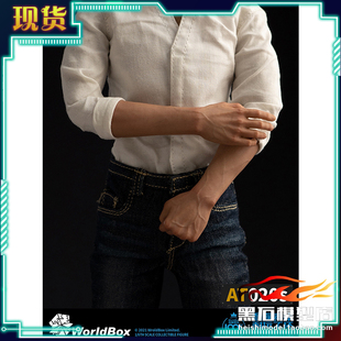 Worldbox 1/6耐操素体静态一体臂 AT020S套装版 AT020C配件包