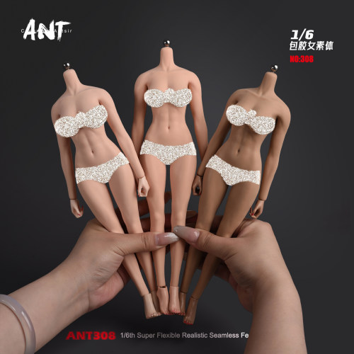 预售定金 ANT 1/6 T308 健美少女体超可动女兵人素体钢骨包胶人偶