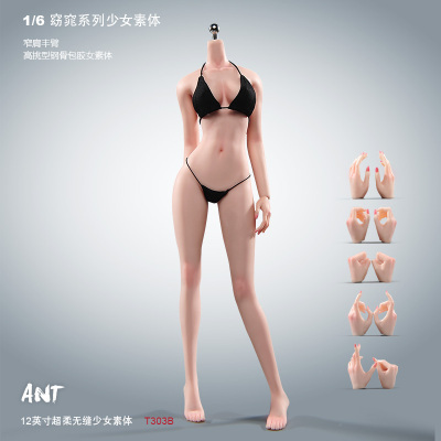 现货 ANT 1/6 窈窕连脚T303身体手脚加妆 女兵人钢骨包胶关节可动