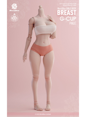 预定定金 Worldbox  1/6 女素体大胸替换件 G cup 配件