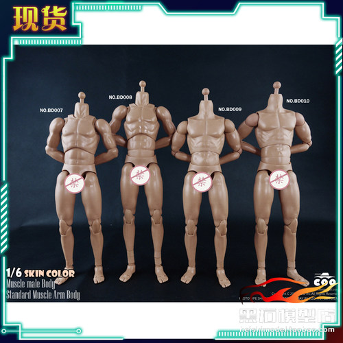 男素体COOMODEL兵人偶肌肉臂1/6