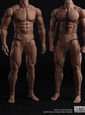 现货 Worldbox 1/6 耐操素体 无脖肌肉素体 AT044 可动男兵人素体