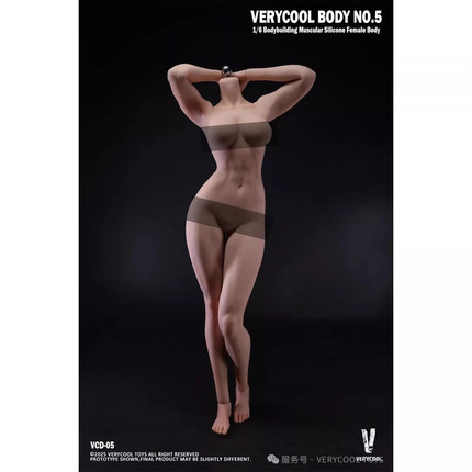 现货 VERYCOOL VCD-05B 1/6 健美肌肉体型 自然肤色 可动硅胶素体
