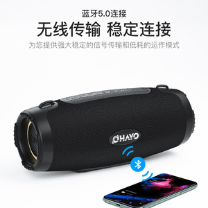 雷登M8蓝牙音箱100W户外防水大音量重低音炮带话筒便携式K歌音响