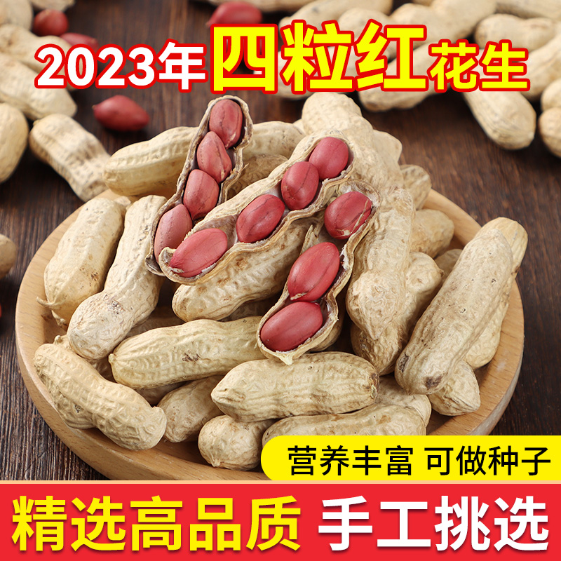 红皮生花生带壳晒干原味2023年新货种子铁锅炒熟东北四粒红花生米