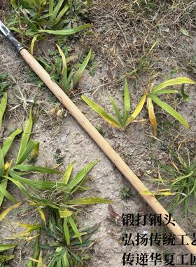 歼狼杖头矛头多功能登山杖徒步探险寻迹越野驴友旅游爬山防身工具