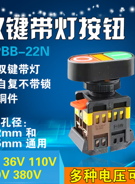 APBB-22N-25N 双键带灯 按钮开关 双位 带灯自复开关 铜件