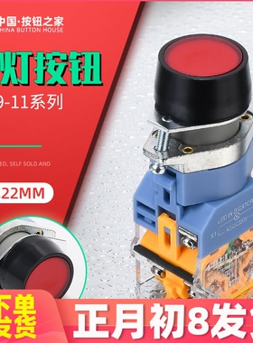 带灯自复位平扭LA39-11D 11DN电源自锁DNZS按钮开关22mm 220V 24V
