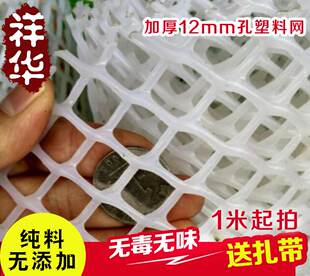 白色绿色胶网阳台防护网塑料网养殖网植物爬藤网隔离网1.2m加厚
