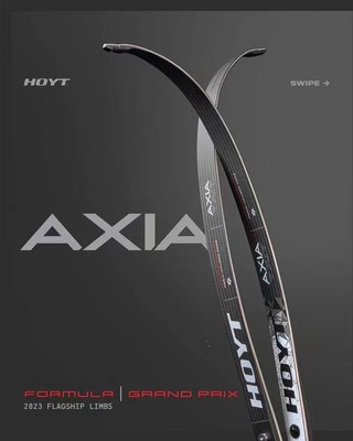 射箭霍伊特2023新款 AXIA碳素b弓片通用口F口竞技反曲弓箭弓把