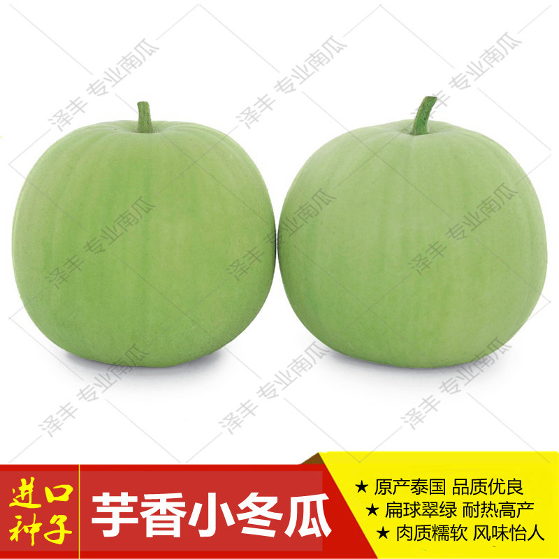 Melon seed Heat High yield Taro aroma summer Vegetables Guangdong Irons Four seasons Countryside Vermicelliin the Agricultural goods , Seed/Seedlings , Vegetable Seeds  category - from Buy2taobao.com to provide professional Taobao agent buy service