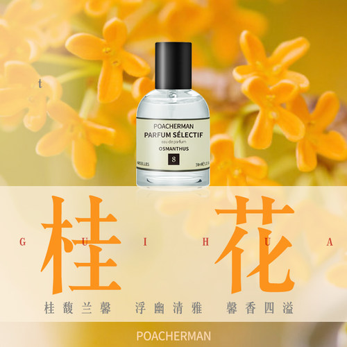 柏世曼桂花香水淡香清新