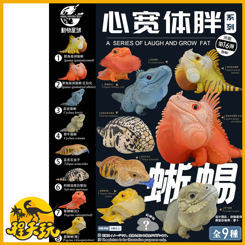 动物星球心宽体胖系列十六弹蜥蜴