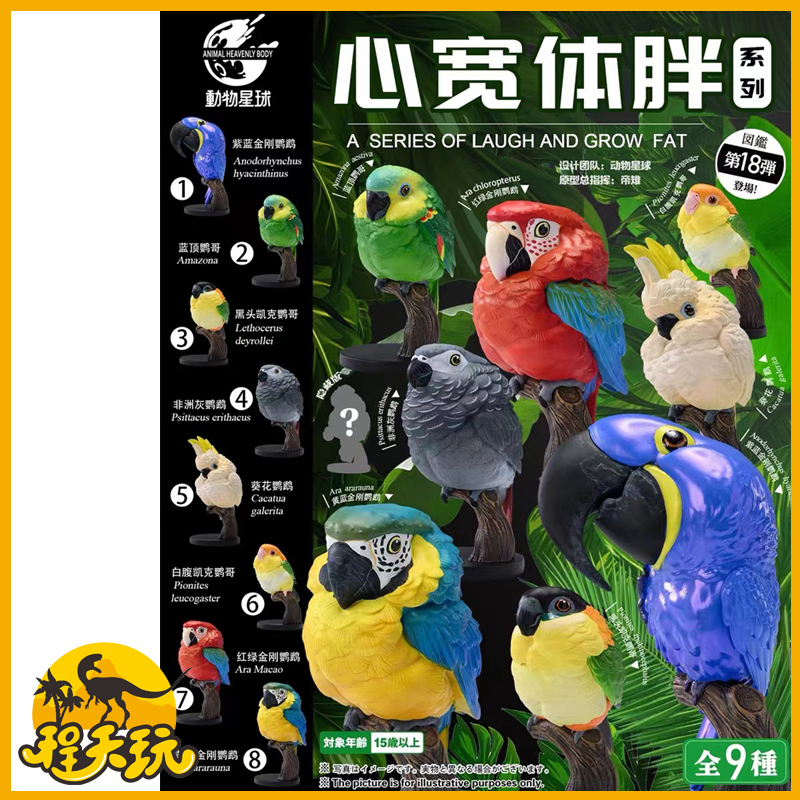动物星球心宽体胖系列18弹鹦鹉仿真鸟手办模型潮流玩具非洲大嘴鸟