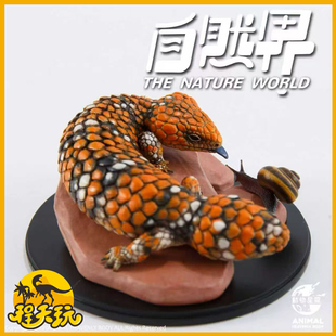 动物星云写实版自然界第五弹西部松果蜥送特典散布大蜗牛树脂摆件