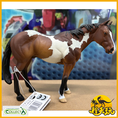 英国CollectA我你他阿帕卢萨公马白斑枣色88956仿真动物马模型PVC
