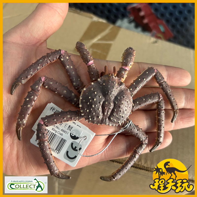 英国CollectA我你他帝王蟹88851仿真海洋甲壳动物螃蟹模型玩具PVC