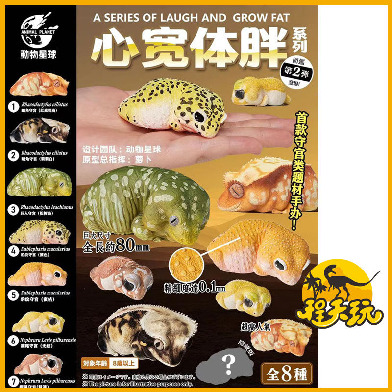 星球心宽体胖守宫爬宠盒蛋动物