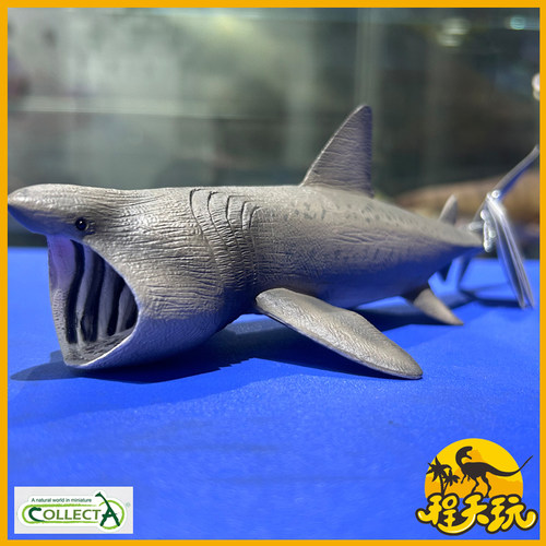 英国CollectA我你他姥鲨88914