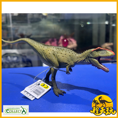 CollectA侏罗纪鲨齿龙模型玩具