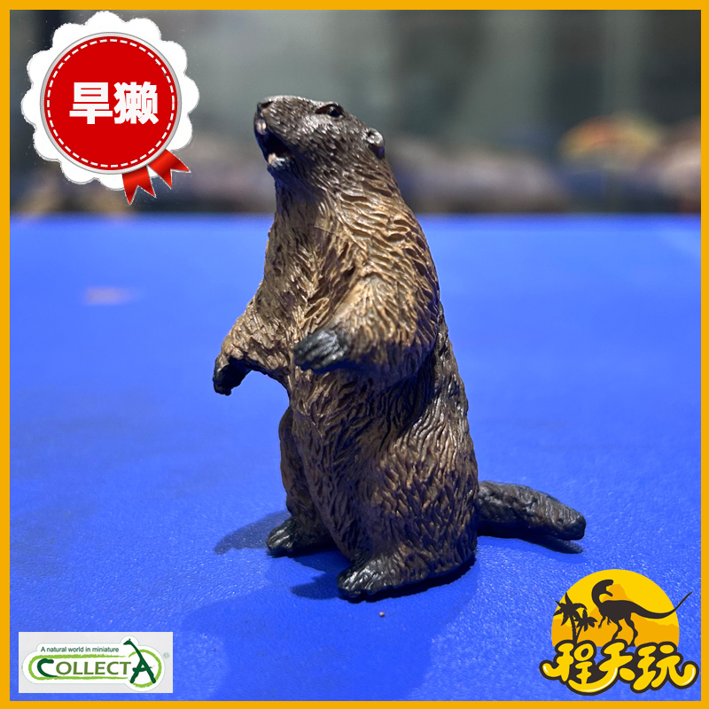 英国CollectA我你他土拨鼠80044