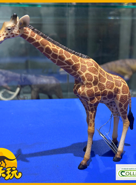 英国CollectA我你他网纹长颈鹿88534仿真非洲野生动物模型玩具PVC