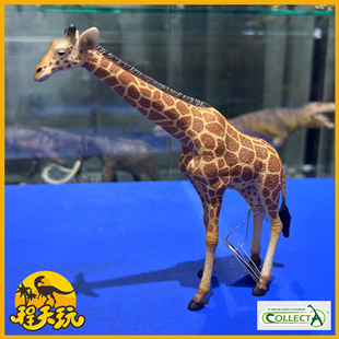 英国CollectA我你他网纹长颈鹿88534仿真非洲野生动物模型玩具PVC