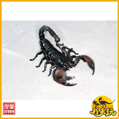 涅槃模型帝王蝎模型冰箱贴节肢动物宇宙第二弹仿真甲虫收藏车摆件