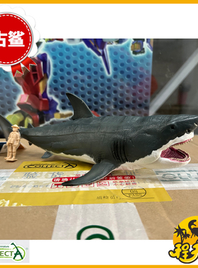 英国CollectA我你他1:40巨齿鲨88887仿真史前鲨鱼海洋动物模型PVC
