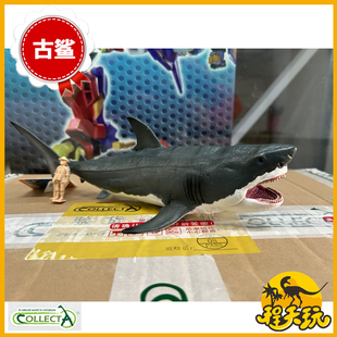 英国CollectA我你他1:40巨齿鲨88887仿真史前鲨鱼海洋动物模型PVC