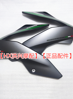 2021款  黄龙TNT600i油箱左右侧护板BJ600GS-3鸡翅膀前护板BN