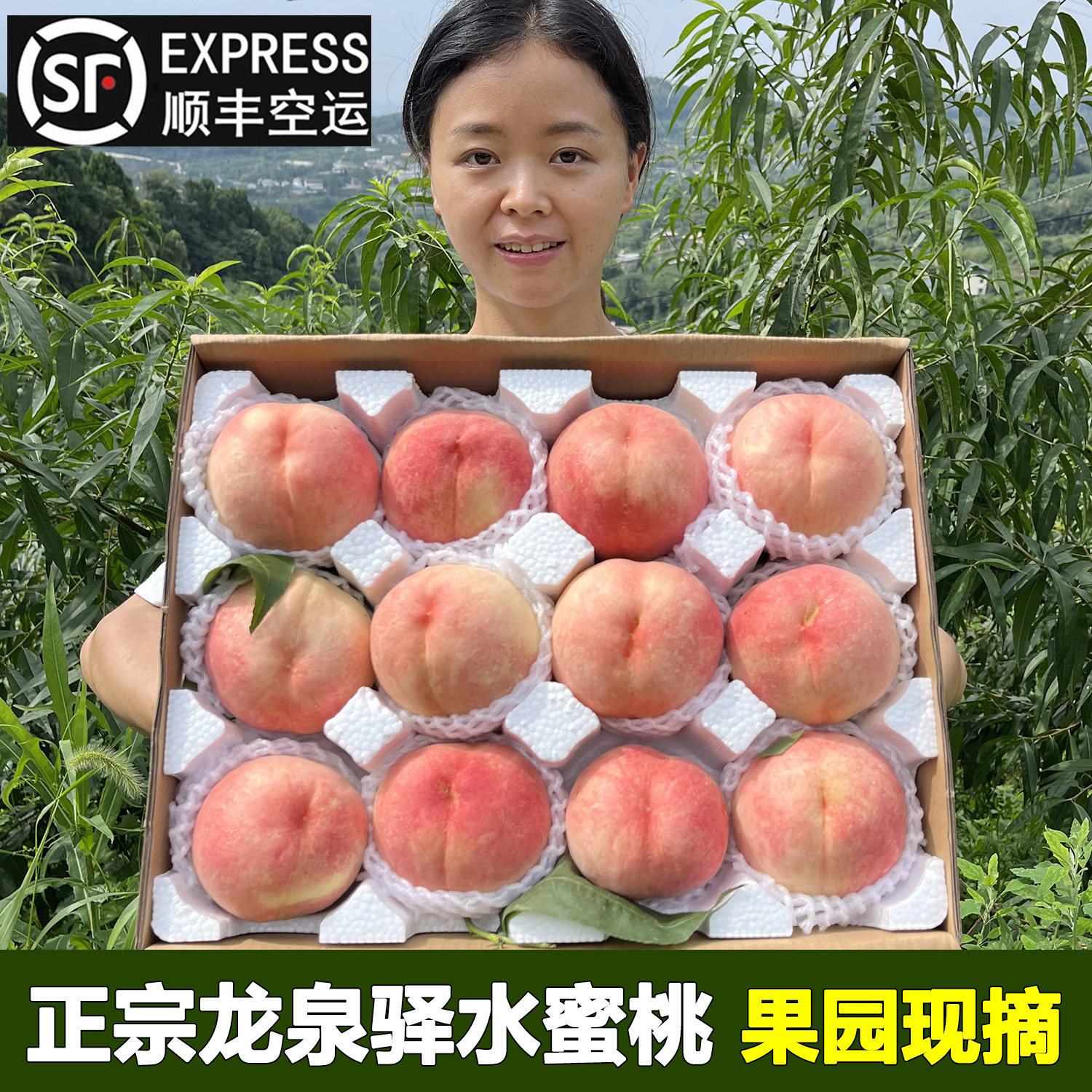 正宗龙泉水蜜桃新鲜桃子白凤桃毛桃现摘孕妇水果产地现摘香甜多汁