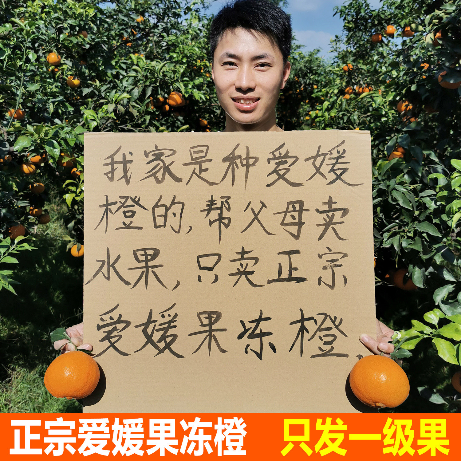 农家爱媛38号果冻橙 正宗四川新鲜孕妇水果手剥橙子红美人现摘,水产肉类/新鲜蔬果/熟食,橙,淘宝优惠券,粉丝福利购,淘宝优惠卷