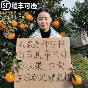 四川春见耙耙柑特级新鲜水果产地直发大果粑粑柑杷杷桔子现摘现发