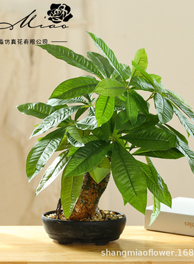 发财树绿植盆景人造植物仿真花创意家居摆件仿真