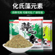 野钓大物一窝疯套餐 钓鲫鱼饵料配方秋季 化氏藻元 素鱼饵腥香夏季